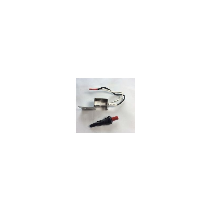 KIT PIEZOELÉCTRICO + ELECTRODO PARA Q100,1000, 200 Y 2000 