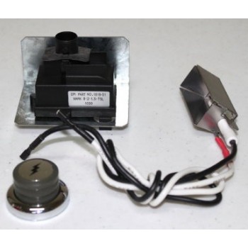 KIT PIEZOELÉCTRICO + ELECTRODO PARA Q100,1000, 200 Y 2000 