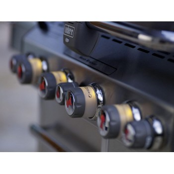 SUMMIT S-670 INOX + FUNDAWEBER