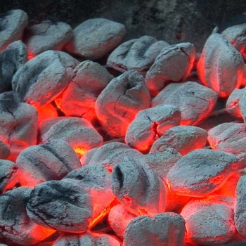 SACO DE 8kg. DE BRIQUETAS CARBÓN PREMIUM