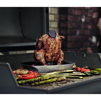 SOPORTE PARA POLLOS WEBER STYLE