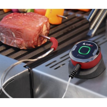 TERMOMETRO WEBER IGRILL MINI