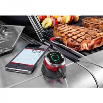 TERMOMETRO WEBER IGRILL MINI