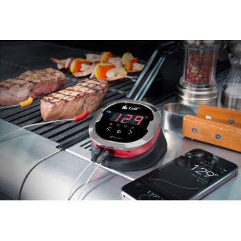TERMOMETRO WEBER IGRILL 2