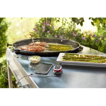 WEBER IGRILL MINI THERMOMETER