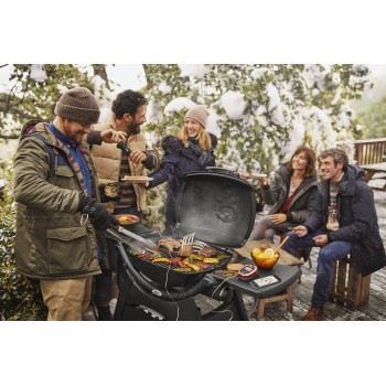 BARBACOA WEBER Q3200 BLACK