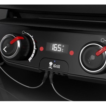 BARBACOA WEBER PULSE 2000