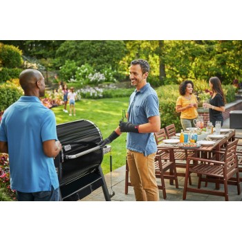 BARBACOA WEBER SMOKEFIRE EX6 GBS