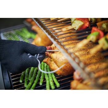BARBACOA WEBER SMOKEFIRE EX6 GBS
