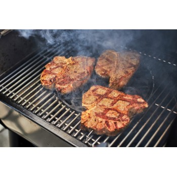 BARBACOA WEBER SMOKEFIRE EX6 GBS