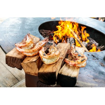 BARBACOA OFYR TRAILER O-T-01