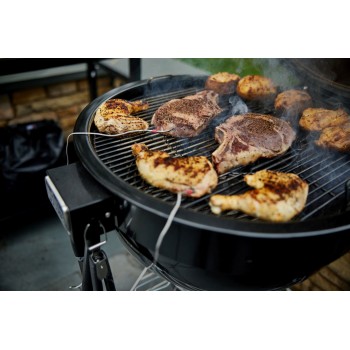 BARBACOA WEBER SUMMIT KAMADO E6