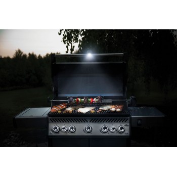 LÁMPARA PARA EL ASA DE BARBACOA DE GAS NAPOLEON