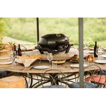 GAS BARBECUE NAPOLEON TRAVELQ PRO285