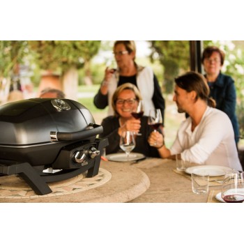 GAS BARBECUE NAPOLEON TRAVELQ PRO285