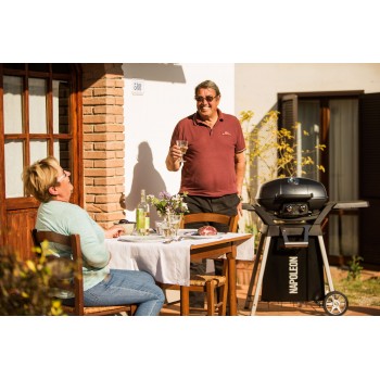 TRAVELQ SOPORTE PARA BARBACOA NAPOLEON TRAVELQ PRO285