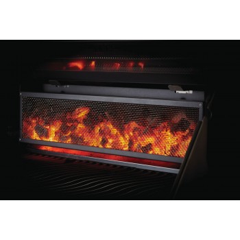 BARBECUE CHARCOAL PROFESSIONAL PRO605 STAINLESS STEEL NAPOLEON