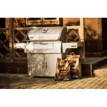 BARBACOA PROFESIONAL DE CARBÓN PRO605 INOX NAPOLEON