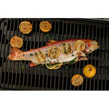 BARBACOA WEBER TRAVELER BLACK
