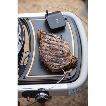 BARBACOA WEBER TRAVELER BLACK