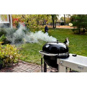 BARBACOA WEBER SUMMIT KAMADO S6