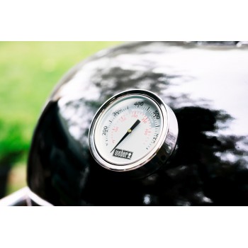 BARBACOA WEBER SUMMIT KAMADO S6