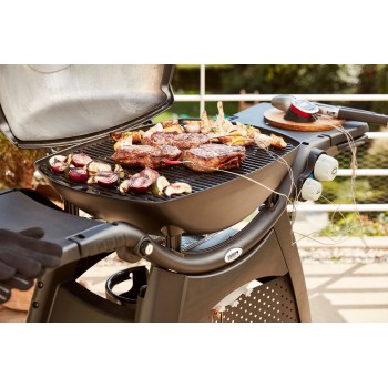 BARBACOA WEBER Q3000 BLACK