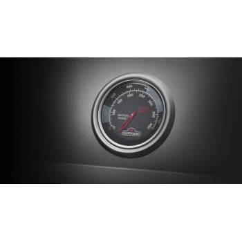 BARBACOA NAPOLEON FREESTYLE 425 CON QUEMADOR LATERAL SIZZLE ZONE